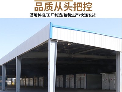 基地直供宁夏枸杞 特级250g瓶装中宁红枸杞团购批发oem加工图4