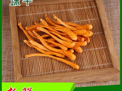 产地批发干货北虫草虫草花金虫草孢子头颜色新鲜饱满图1