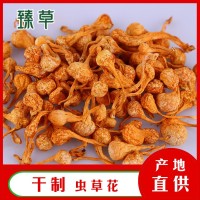 东北干货大孢子头虫草花北虫草金虫草批发零售粒子大饱满含孢子粉