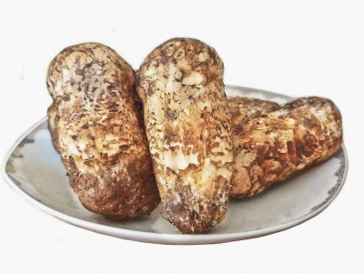 产地直供食用菌新鲜松茸散装500g云南特产煲汤新鲜现货批发图5