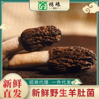 2021新鲜羊肚菌1000g 菌菇土特产煲汤酒店餐饮食材产地货源批发