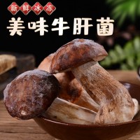 云南特产速冻鲜美牛肝菌可清炒涮火锅煲汤美味食材现货批发