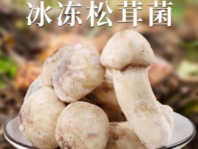 冰鲜松茸冰冻松茸云南特产山珍食用菌菇冬季煲汤食材菌子新鲜松茸 2千克起批图3