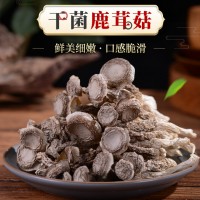 产地新鲜鹿茸菇500克 云南特产食用菌不开伞鹿茸菇新鲜蘑菇批发 2盒起批