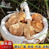 猴头菇大货批发 福建古田农家干货美味煲汤猴头菇散装批发500g  2件起批