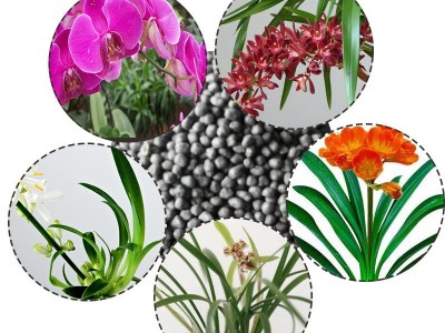 好康多肥料13-10-11-2TE101缓释肥兰花肥料180天图3