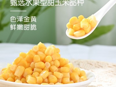 【榨汁甜玉米粒】 现榨玉米汁 香浓玉米汁图1