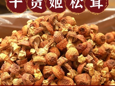 云南特产食用菌干货 姬松茸干货 巴西菇短腿小菇产地批发人工挑选图3