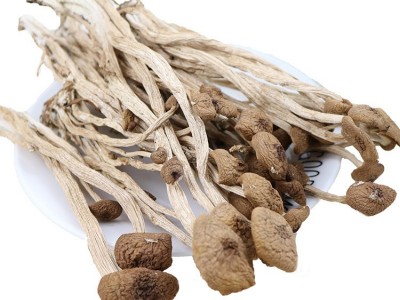 茶树菇干货 不开伞菇干货500g 古田食用菌基地新鲜干货厂家批发图5