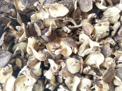 2022年新货 云南特产干香菇 椴木香菇香甜味好的食用香菇批发图1