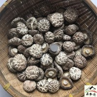 白花菇干货500g包邮西峡特产农家干香菇新品椴木出口大小花菇