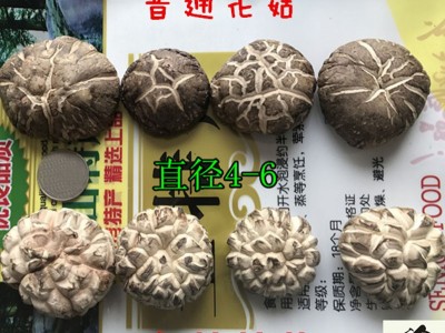 白花菇干货500g包邮西峡特产农家干香菇新品椴木出口大小花菇图2