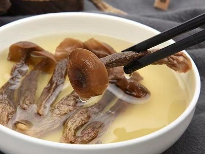 【产地直供】鹿茸菇散装批发 鹿茸菌干货500g 食用菌酒店食材批发图3