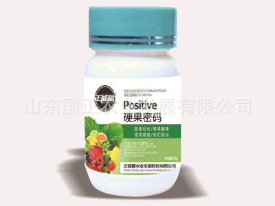 草莓专用 调节剂 叶面肥 硬果素膨果硬果增产硬果剂 厂家批发图3