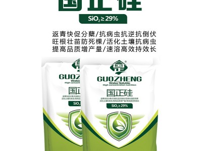 厂家批发 水溶性硅肥 中微量元素水溶肥 水稻颗粒硅肥速溶叶面肥图3