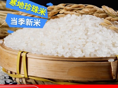 2022年东北大米5kg黑龙江特产圆粒珍珠米新米10斤东北大米批发图2