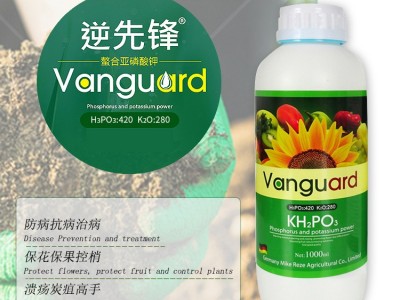 全水溶叶面肥亚磷酸钾 高磷高钾水溶肥 膨果保花保果控梢控旺肥料图3