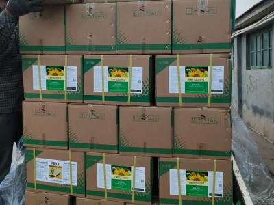 全水溶叶面肥亚磷酸钾 高磷高钾水溶肥 膨果保花保果控梢控旺肥料图2