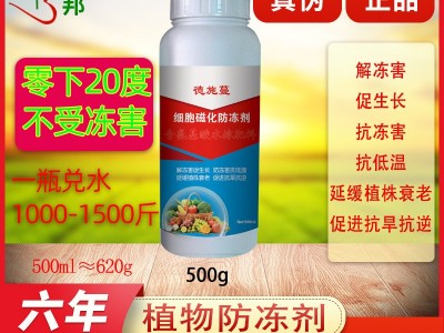 植物防冻液防寒流柑橘果树花卉蔬菜苗木草莓专用防冻剂抗冻剂农用图1
