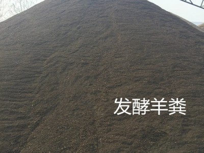 厂家供应 羊粪有机肥 发酵羊粪 果树用肥 欢迎来电咨询图2