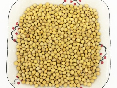 熟黄豆 现磨打豆浆专用原料熟大粒黄豆批发 低温烘焙熟五谷杂粮图1