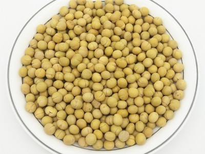 熟黄豆 现磨打豆浆专用原料熟大粒黄豆批发 低温烘焙熟五谷杂粮图2