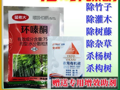 75%环嗪酮死树剂杀大树除草剂杀树剂除草剂烂根剂杀竹子除树剂图1