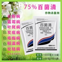 75%百菌清多菌灵 月季黑斑病白粉病霜霉病叶斑病杀菌剂花卉药通用