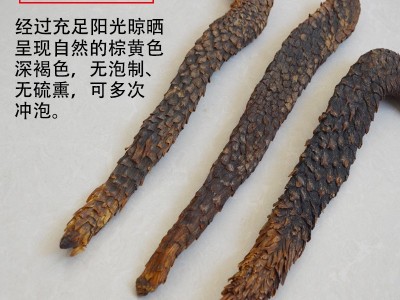 短粗型肉苁蓉 产地内蒙古阿拉善油苁蓉 软大芸粗大货 (3根一斤）图3