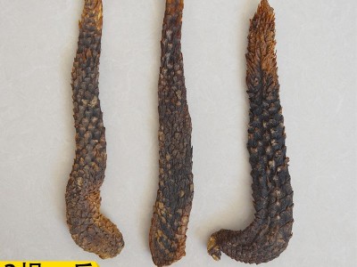 短粗型肉苁蓉 产地内蒙古阿拉善油苁蓉 软大芸粗大货 (3根一斤）图1