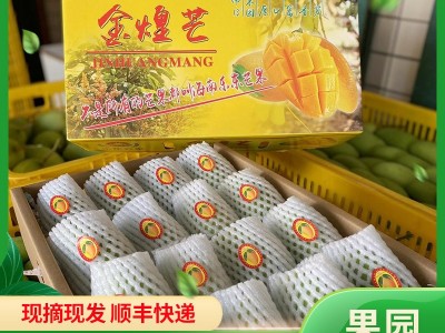 果园直发海南三亚金煌芒水仙芒水果礼盒装黄金百香果燕窝果代发图1