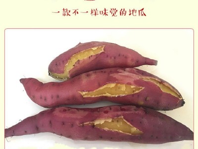 海南澄迈桥头富硒地瓜原产地批发板栗红薯富硒桥头地瓜精选大果图1