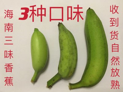 海南三味香蕉整箱新鲜水果当季包邮小香蕉3/5/斤非广西红皮香蕉图1