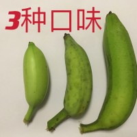海南三味香蕉整箱新鲜水果当季包邮小香蕉3/5/斤非广西红皮香蕉