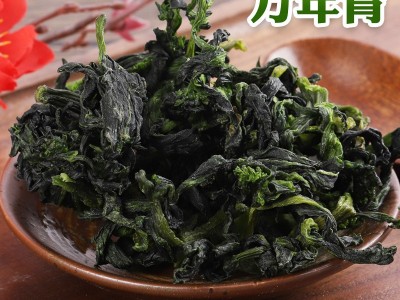 现货脱水蔬菜40*40万年青菜干 免费拿样热风干燥脱水菜芯万年青图1