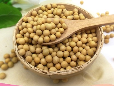 厂家批发大黄豆 烘焙五谷杂粮粗粮 一件代发黄豆 东北大豆图1