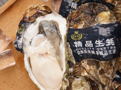 山东乳山带壳新鲜生蚝500g鲜活牡蛎海鲜批发海蛎子代发厂家图2