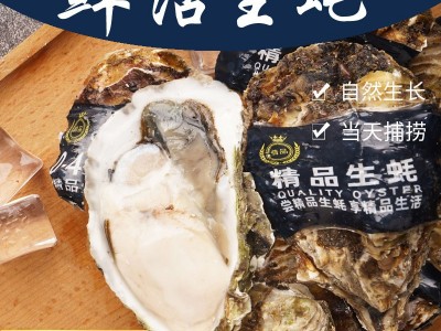 山东乳山带壳新鲜生蚝500g鲜活牡蛎海鲜批发海蛎子代发厂家图1