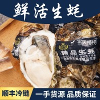 山东乳山带壳新鲜生蚝500g鲜活牡蛎海鲜批发海蛎子代发厂家