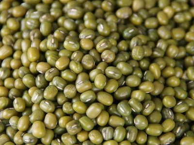 扶风寨陕北杂粮绿豆批发2.5kg 五谷杂粮粗粮图4