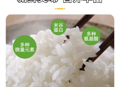 五常稻花香大米 东北农家长粒纯天然图3