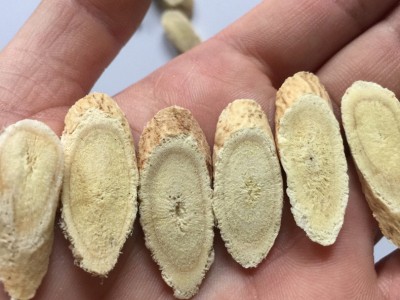 黄芪条黄芪代切片图2