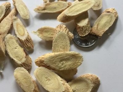 黄芪条黄芪代切片图3
