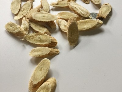 黄芪条黄芪代切片图4