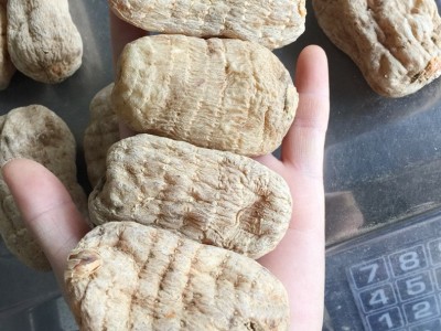 云南昭通天麻可免费打天麻细粉 小草坝 丽江红天麻产地批发图5