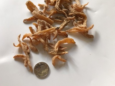 云南昭通天麻可免费打天麻细粉 小草坝 丽江红天麻产地批发图2