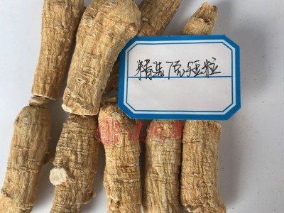 西洋参软支 精选花旗参段西洋参圆粒短支 可代磨粉西洋参代切片图3