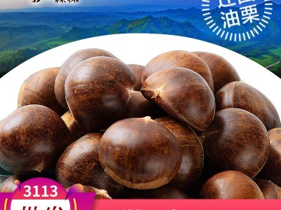 第一森林 迁西板栗燕山油栗河北迁西生新鲜3113板栗 河北栗子批发图1