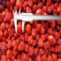速冻冷冻草莓美味速冻产品家用商用甜品冷饮奶茶店榨汁水果罐头