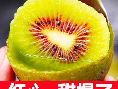 新鲜水果现采现发 四川蒲江红心猕猴桃50-130克一件代发 整箱批发图1
